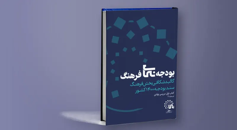 بودجه‌‌نمای فرهنگ - بررسی نهادی